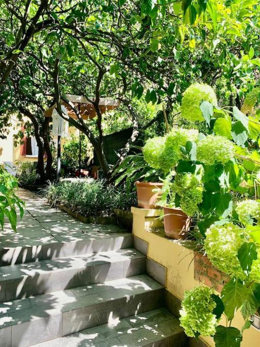 Casa Adele Apartment Monterosso al Mare Exterior photo